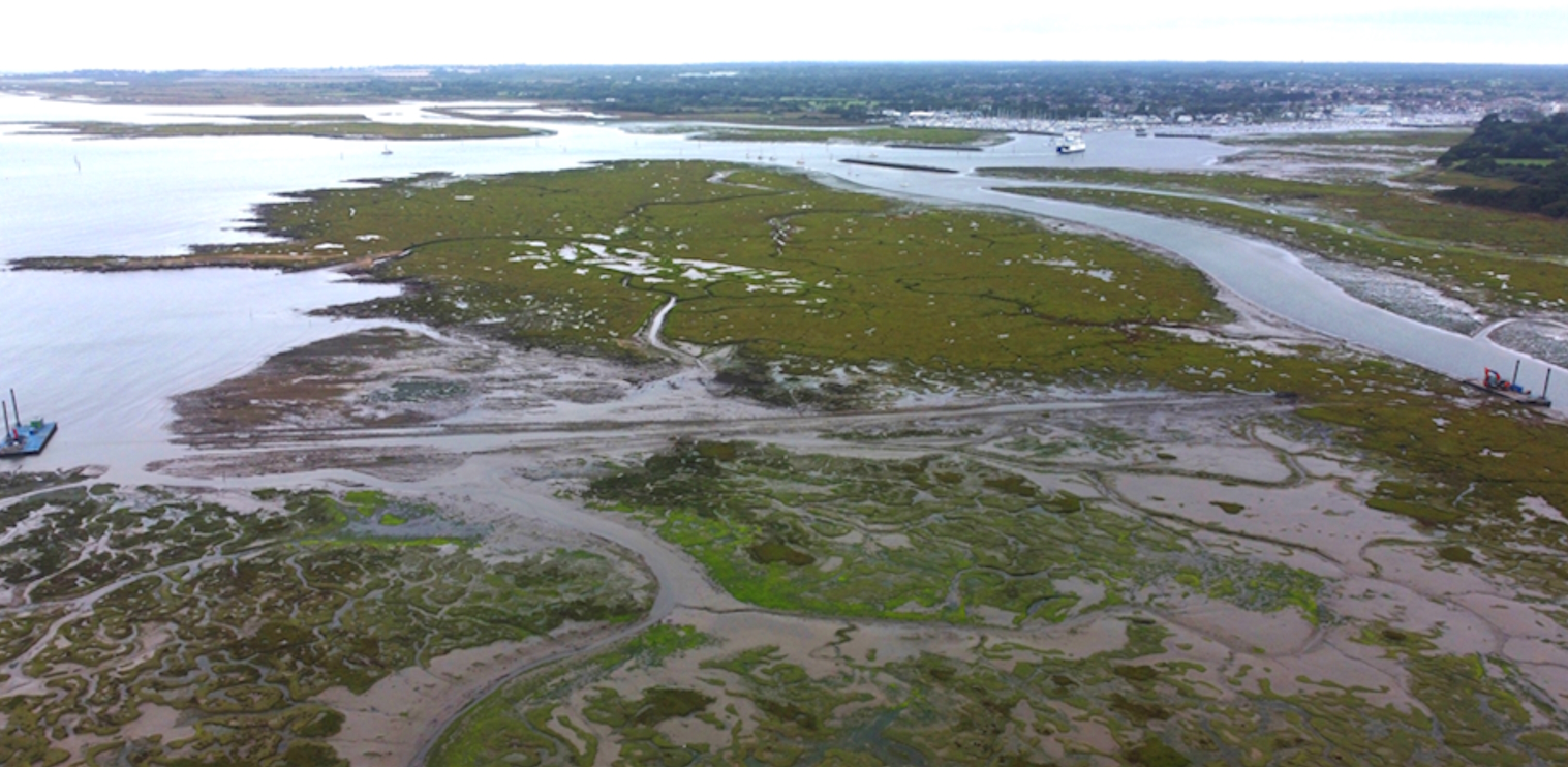 Boiler Marsh (sediment relocation)